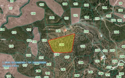 Lordos Lagia Plot 244