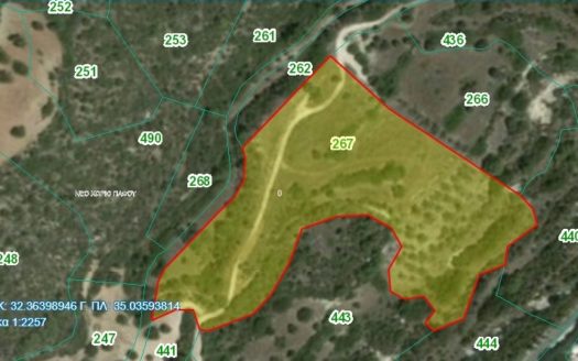 Lordos Neo Chorio Plot 267
